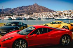 开云体育中国-绿衫军铁蹄踏碎华南虎，浓眉一柱擎天诠释现代篮球终极答案