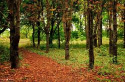 开云体育官方网站-波兰力量制霸国际米兰，穆勒存在感拉满的绿茵传奇