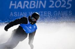 -瑞士滑雪选手实现逆袭，夺得金牌的简单介绍