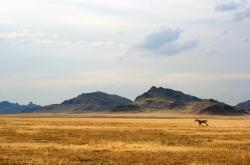 开云体育平台APP-杜兰特末节17分死神降临！勇士窒息防守封锁森林狼