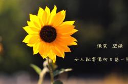 开云官网-舞台巨星的闪耀与本土球队的崛起—西亚卡姆越大越强，深圳队力克老鹰