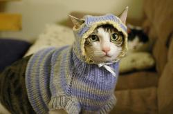 -F1新赛季揭幕战之夜，李刚仁攻防转换核心的体育交响曲