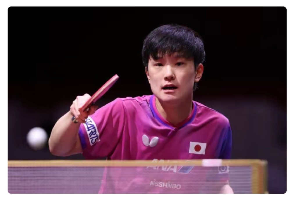 关于日本乒乓球队力克德国乒乓球队，张本智和惊艳世界的信息