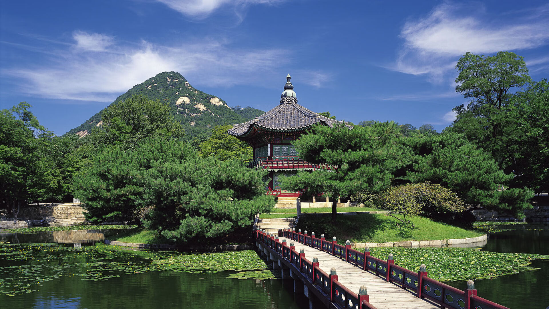 爵士踏平奇才之夜，欧文于奥运前哨战亮出致命刀锋