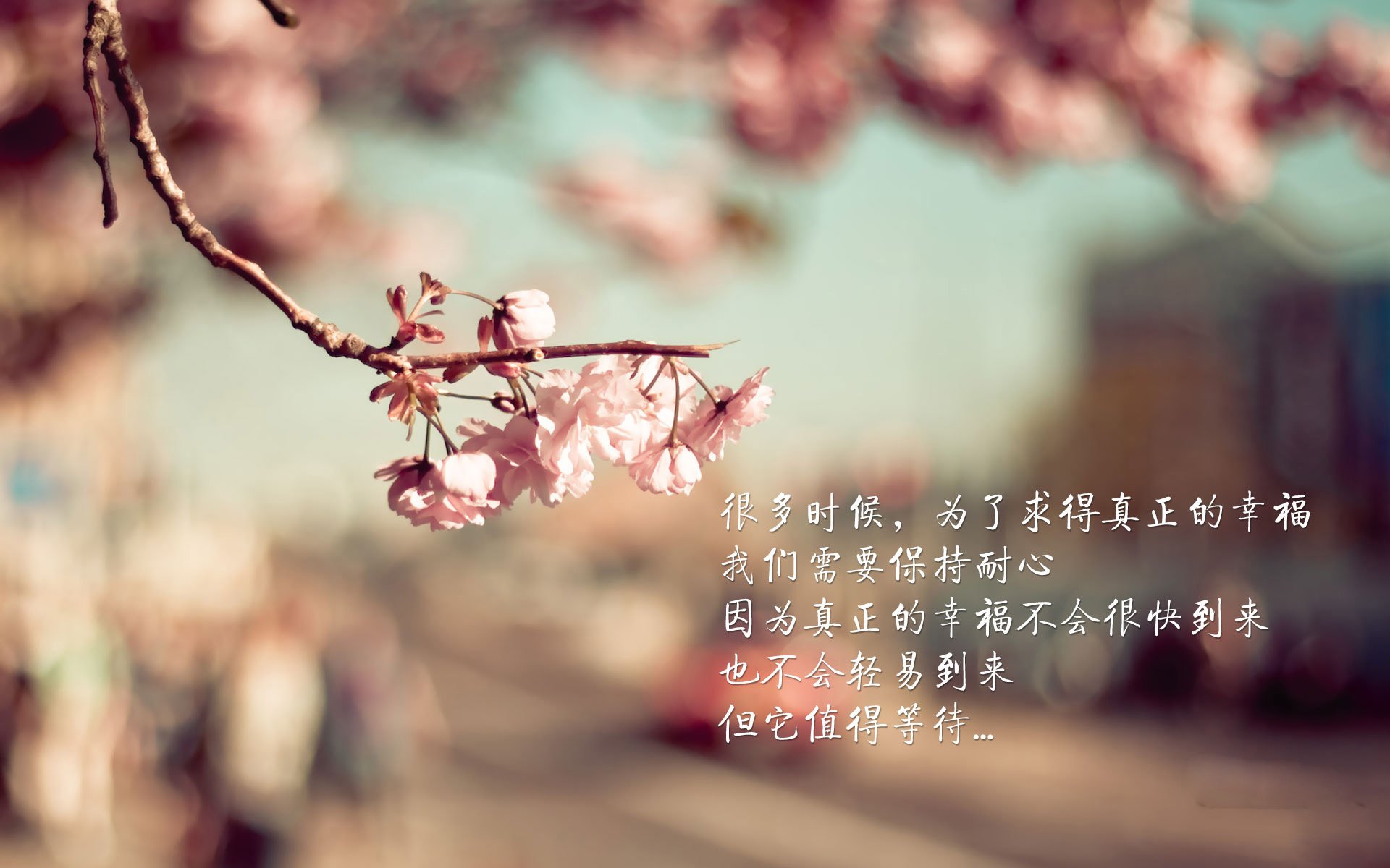 布克狂轰38分11助攻，奇才客场拔旗踏平浙江