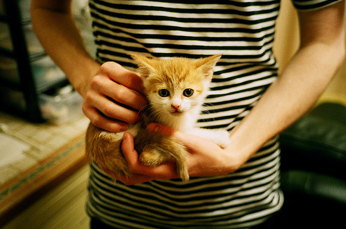 跨洋征途显锋芒,尼斯美国行强势晋级,卡瓦哈尔攻防一体闪耀全场