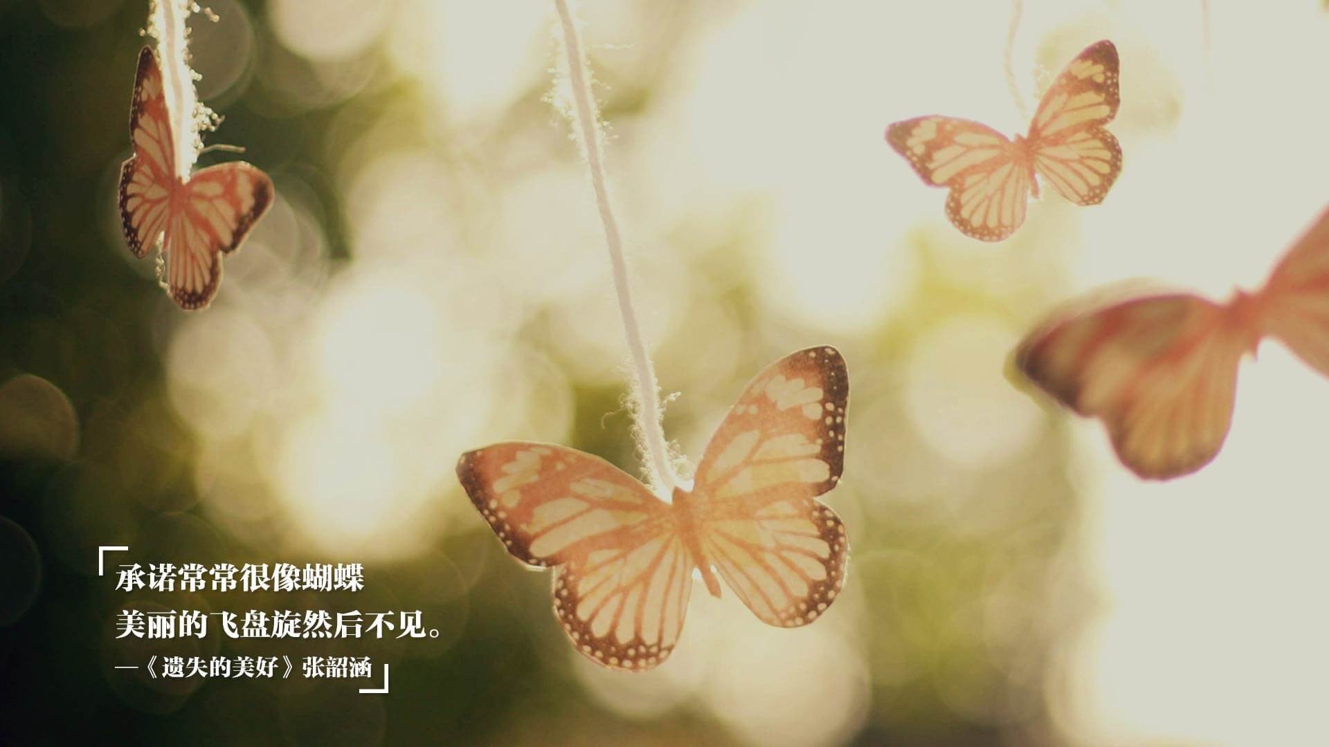 獠牙与利爪,森林狼强压灰熊,米切尔关键三分定乾坤