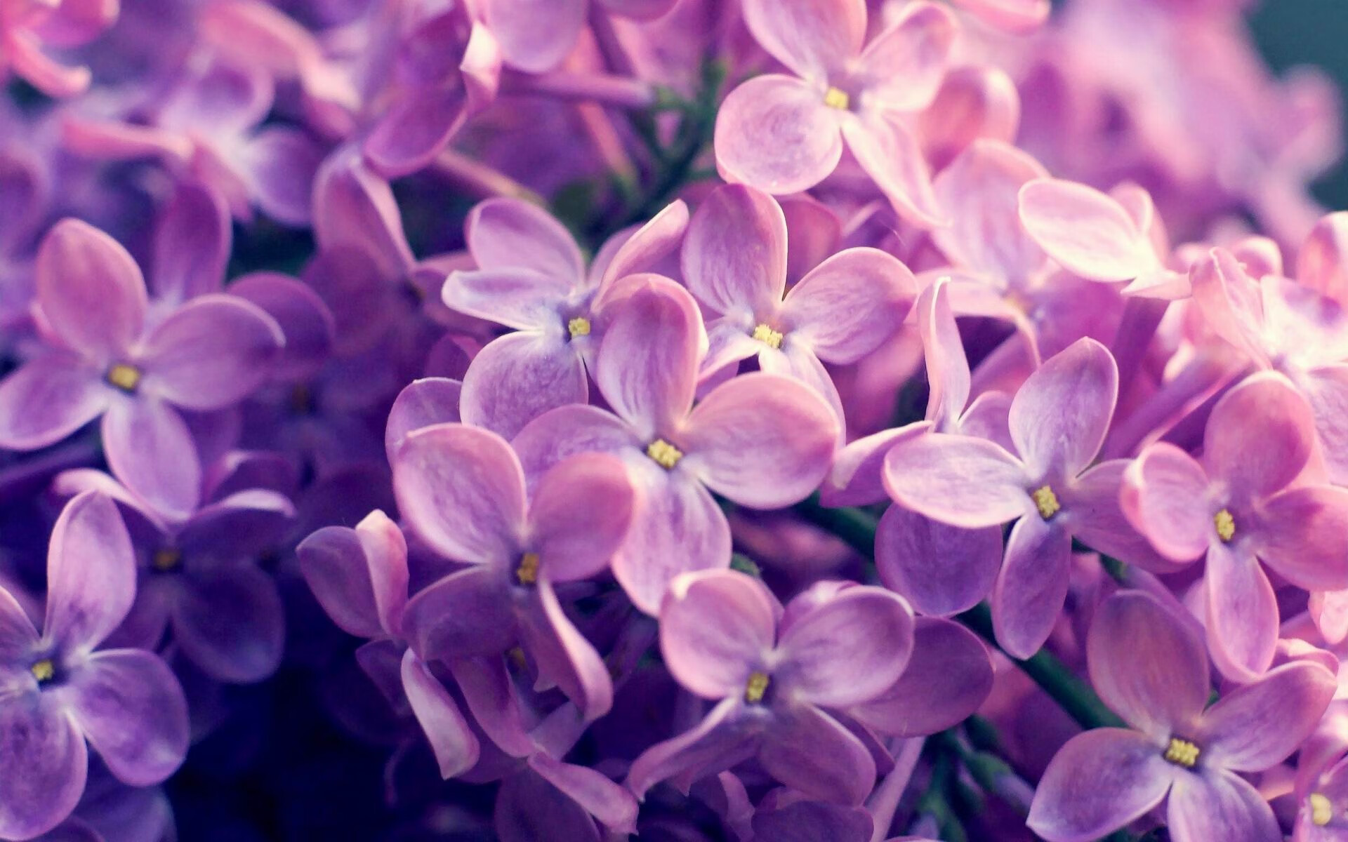 冰与火之歌,马丁内利关键回合不手软,定鼎季后赛之夜