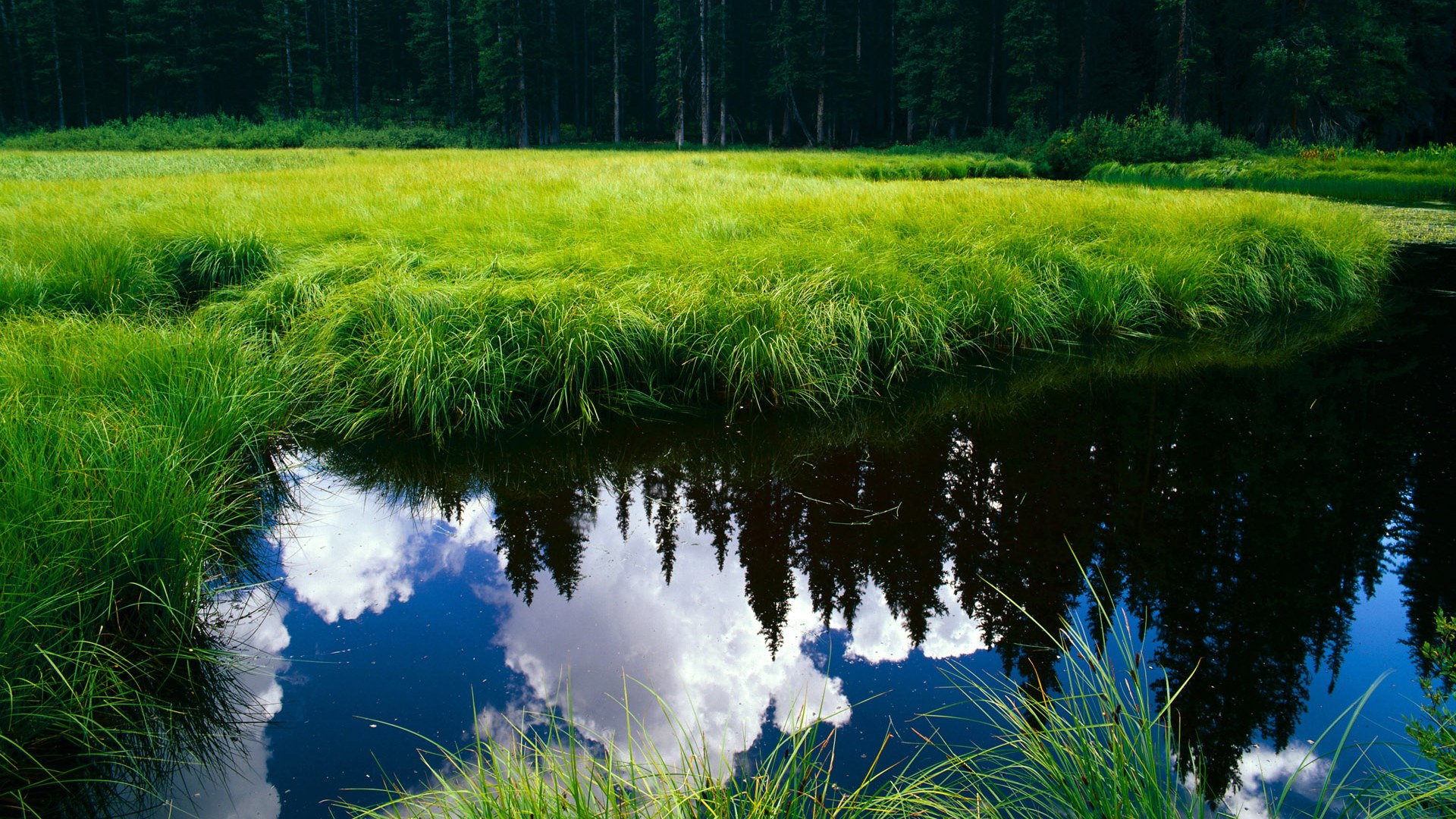 当鹏城风暴席卷奥兰多，一场平行宇宙中的篮球史诗