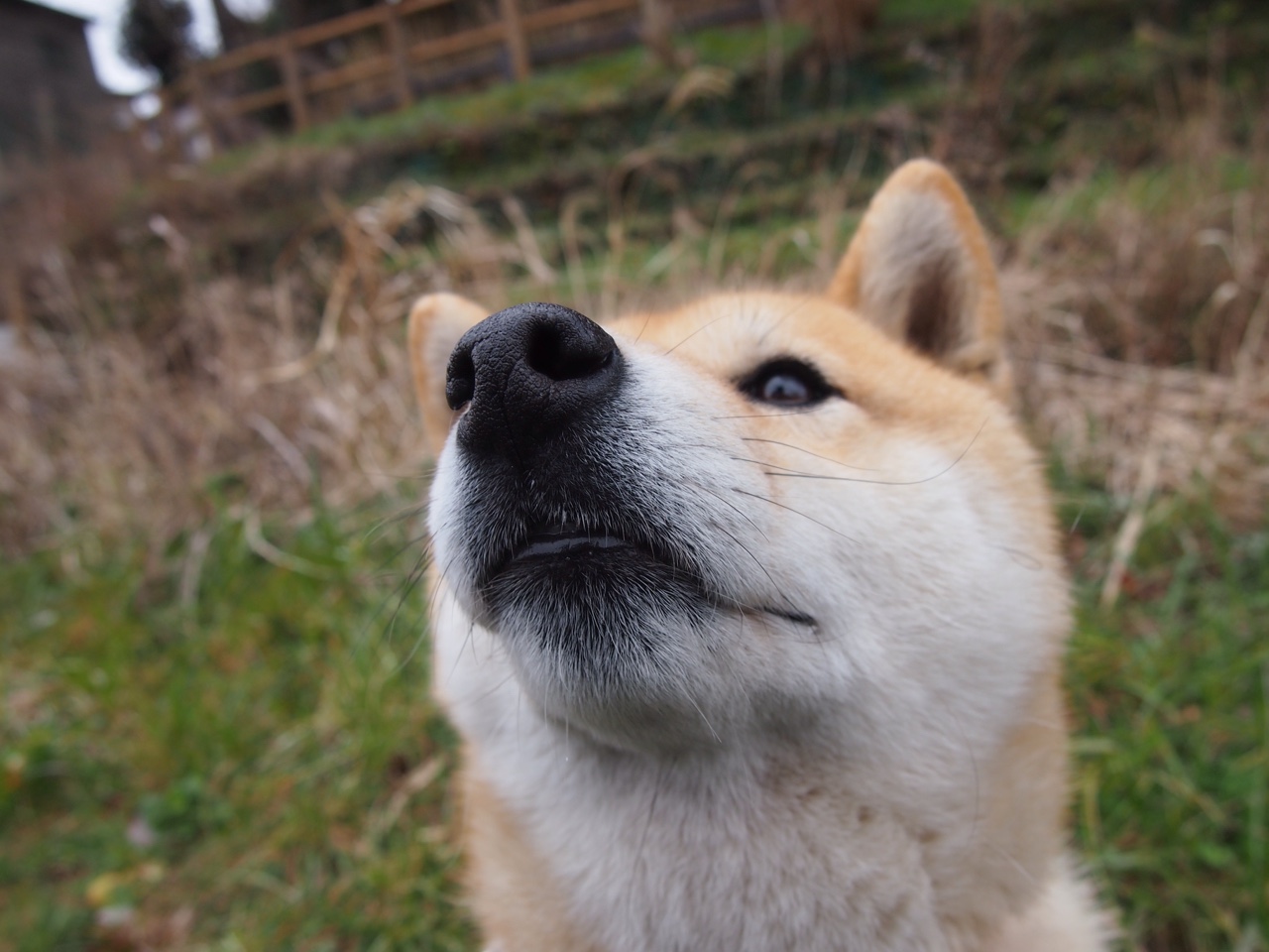 布克稳定输出铸就战术根基，山西队全员开火演绎中式跑轰压制劲敌