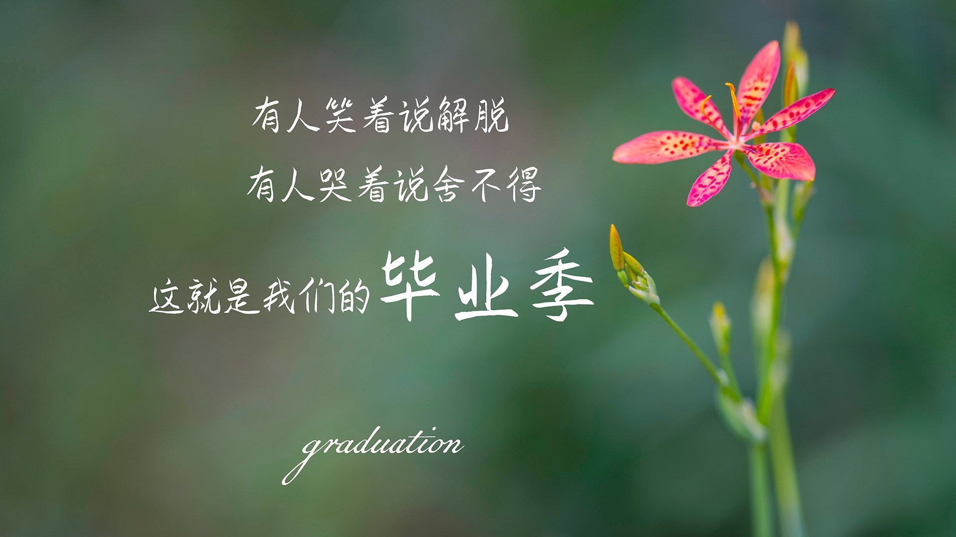 突尼斯全面压制尼日利亚,坎特关键先生闪耀非洲杯赛场