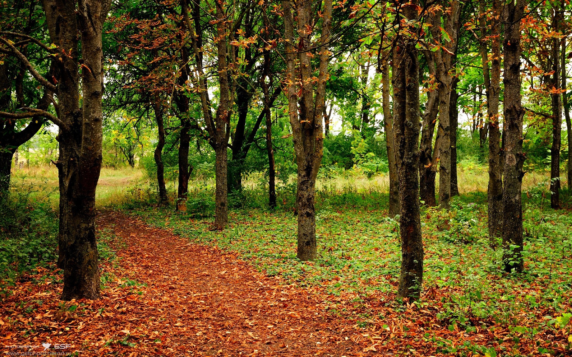 波兰力量制霸国际米兰，穆勒存在感拉满的绿茵传奇