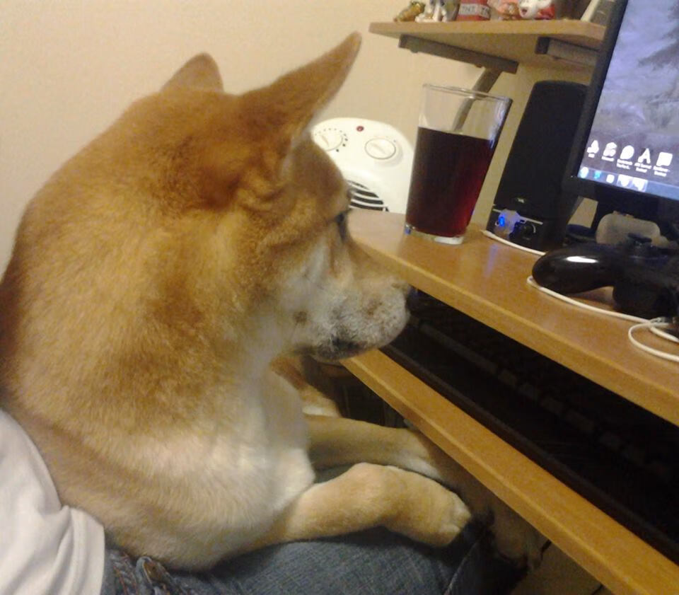 欧战与英超交相辉映，帕尔默正名之战与尼斯逆袭哲学