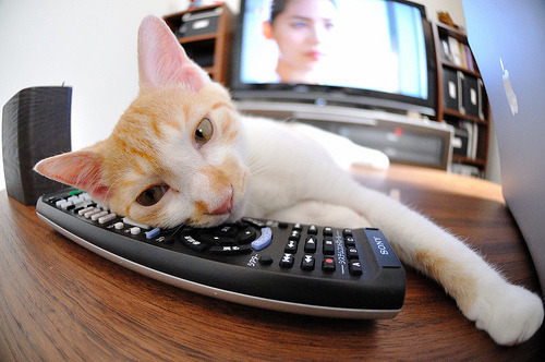 东欧铁骑与南美烈焰,2026世界杯C组关键战,匈牙利大胜捷克,苏亚雷斯带队取胜